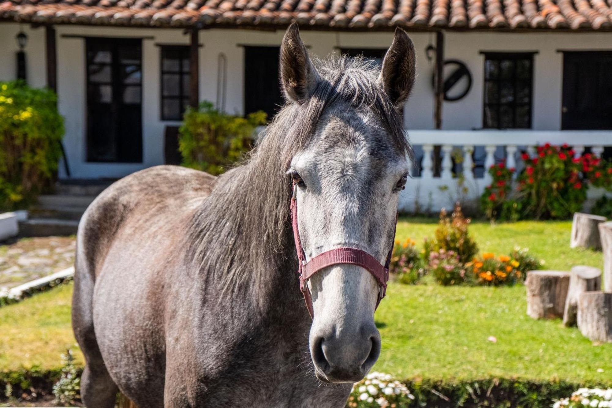 Posada De Tigua 호텔 Hacienda Tigua 외부 사진